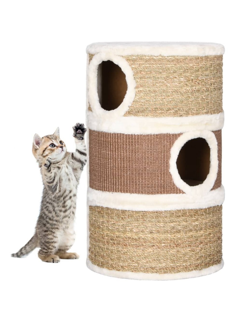 5 Cartes à Gratter Phosphorescentes Monde Océan – Animaux Marins – Kit Créatif Avec Stylet – Cadeau Enfant Et Adulte