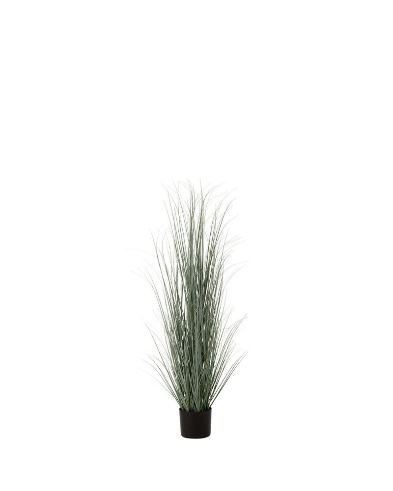 Herbes En Pot Plastique Bleu/Vert Large J-line