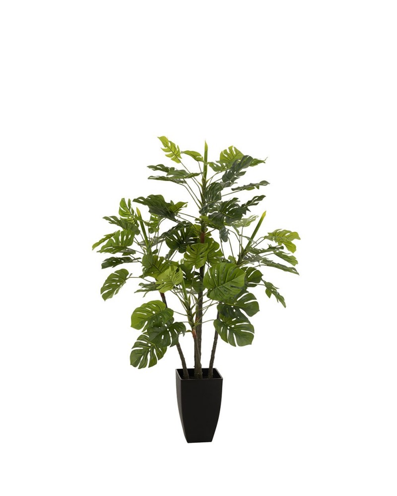 Plante + Pot Plastique Vert Mix J-line